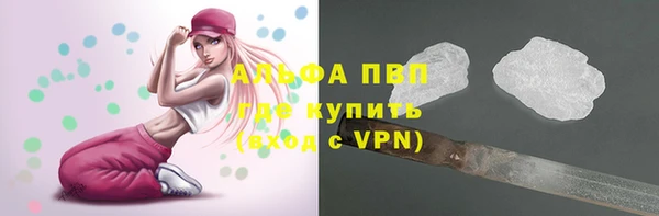 PSILOCYBIN Верея