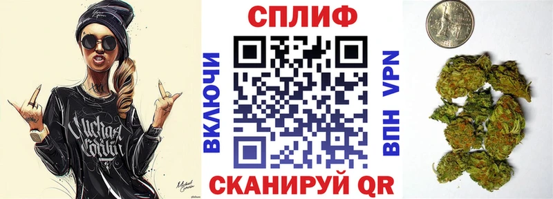 Шишки марихуана сатива  купить наркоту  Медногорск 
